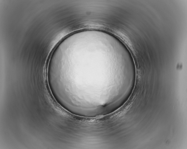 X0000089930891200707201838