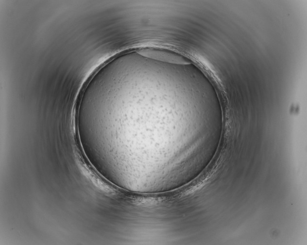 X0000089930892200707201838