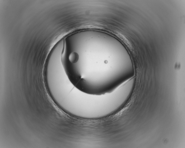 X0000089930893200707201838