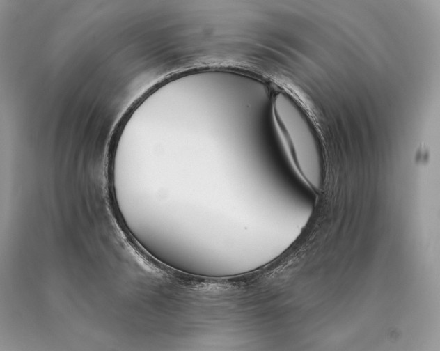 X0000089930894200707201838