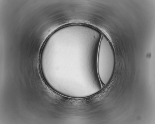 X0000089930895200707201838