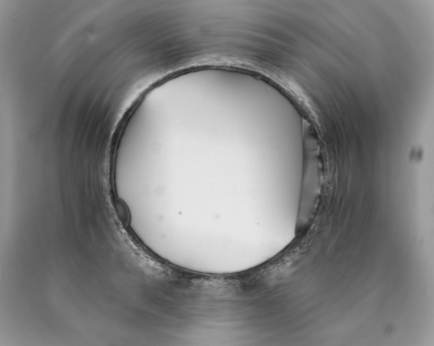 X0000089930896200707201838