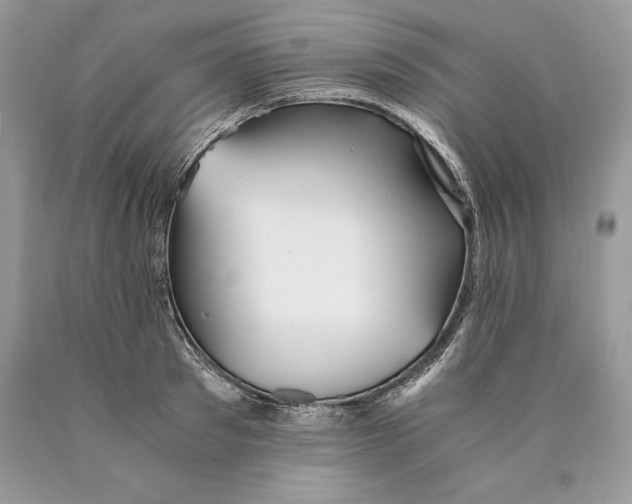 X0000089930897200707201838