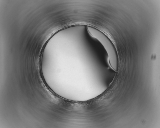 X0000089930898200707201838