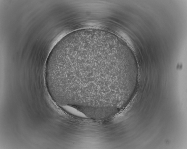 X0000089930899200707201837