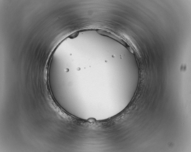 X0000089930900200707201837