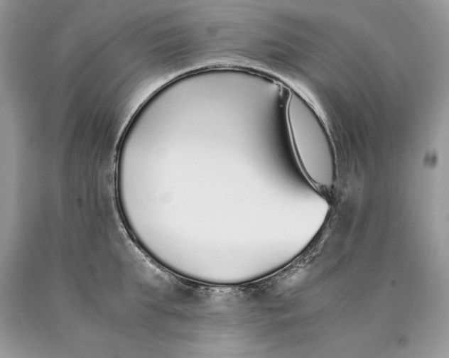 X0000089930903200707201837