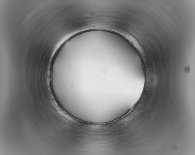 X0000089930904200707201837