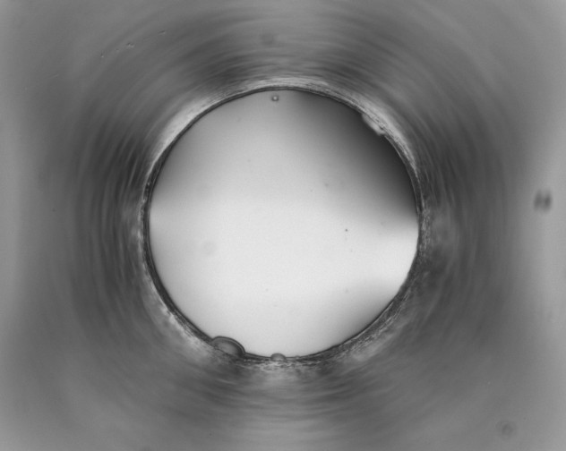 X0000089930906200707201837