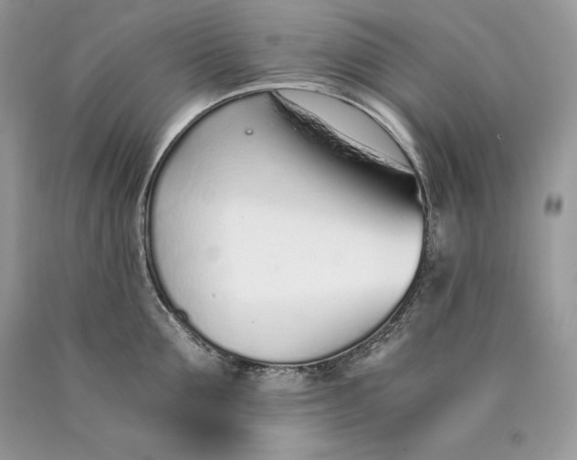 X0000089930907200707201837