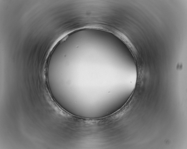 X0000089930908200707201837