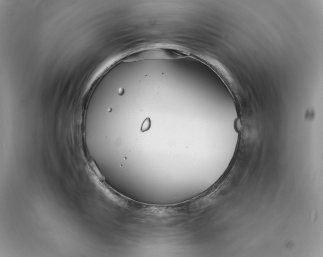 X0000089930910200707201837