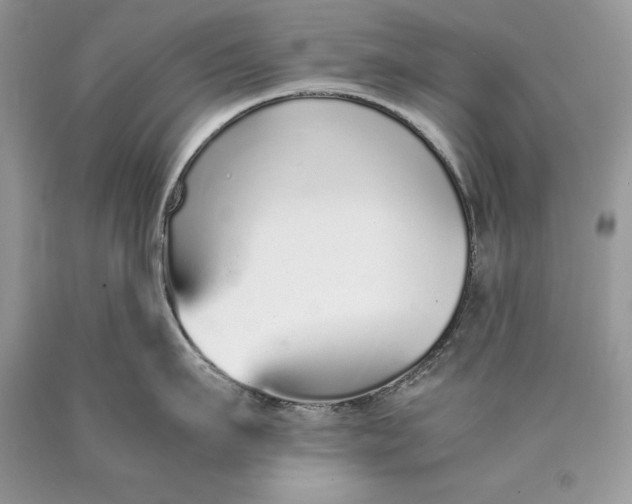 X0000089930911200707201837