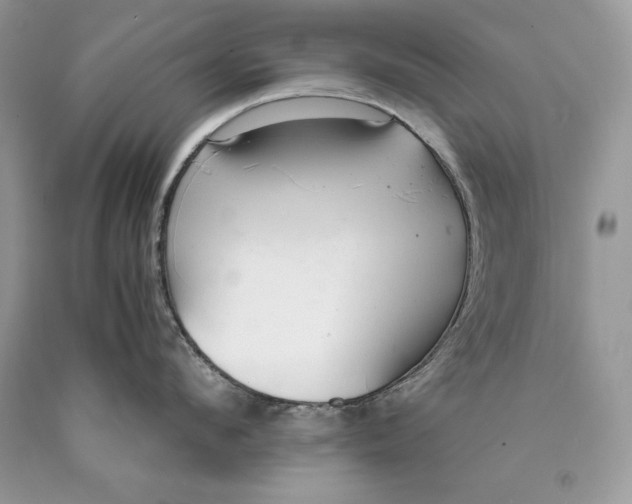 X0000089930912200707201837