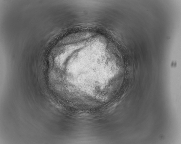 X0000089930913200707201837