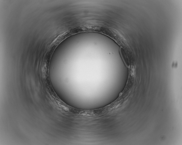 X0000089930915200707201837