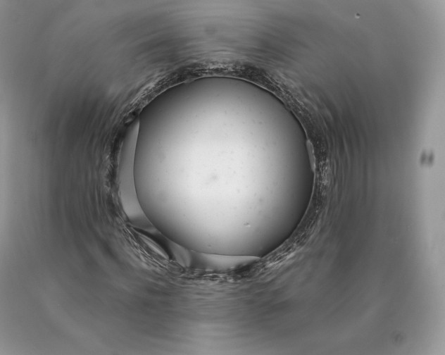 X0000089930916200707201837