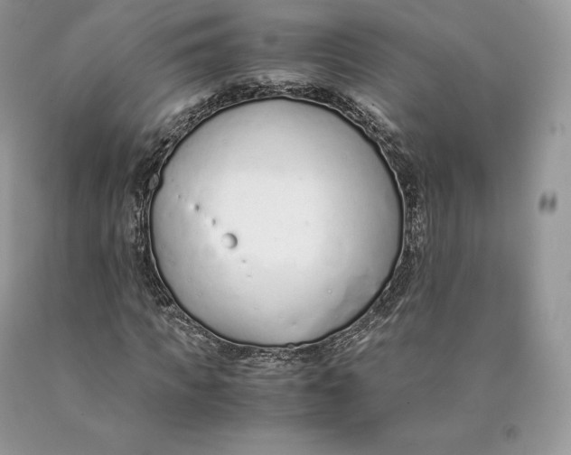 X0000089930917200707201837