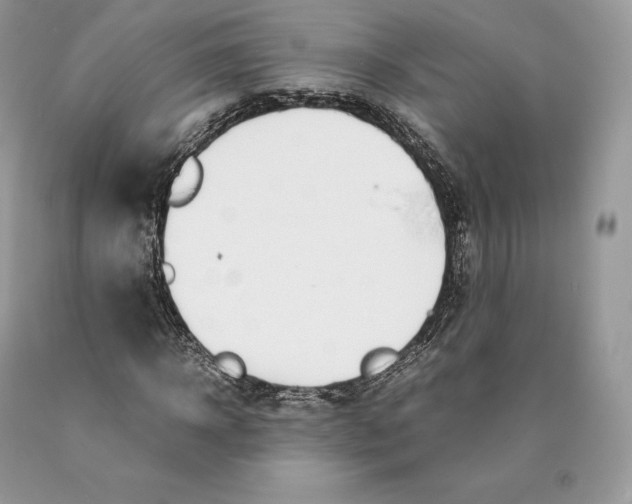 X0000089930918200707201837