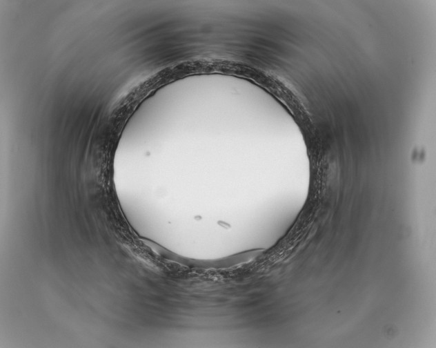 X0000089930919200707201837