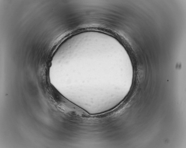 X0000089930921200707201837