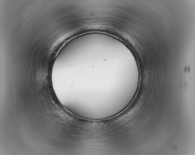 X0000089930922200707201837