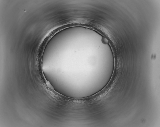 X0000089930923200707201837