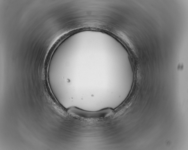 X0000089930924200707201837