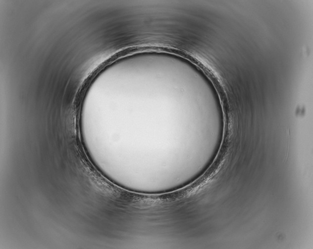 X0000089930925200707201837