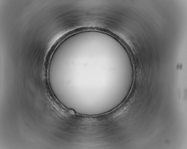 X0000089930927200707201837