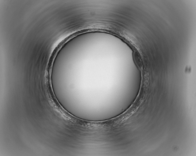 X0000089930928200707201837