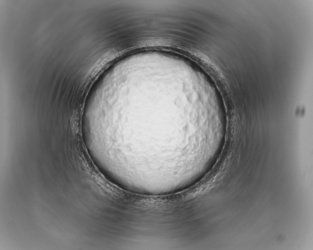 X0000089930929200707201837