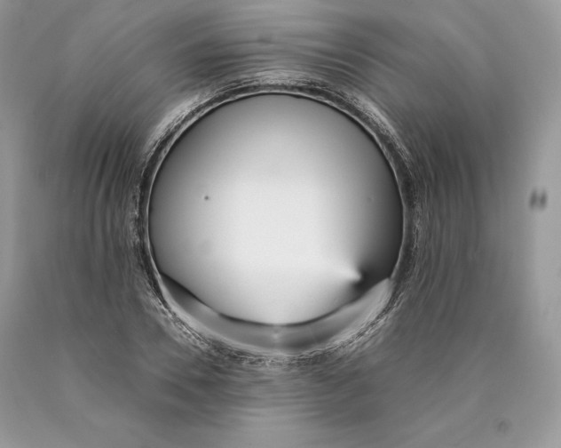 X0000089930930200707201837