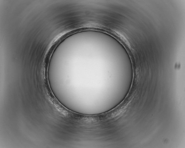 X0000089930931200707201837