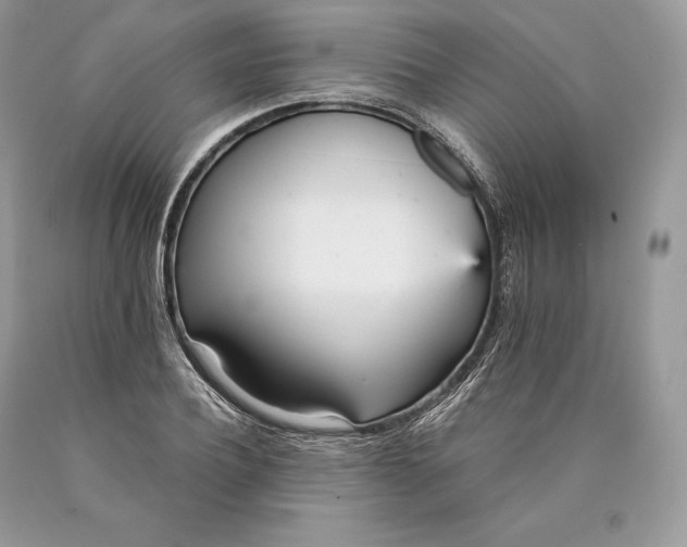 X0000089930932200707201837