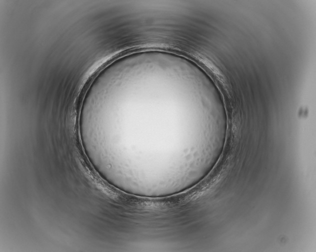 X0000089930933200707201837