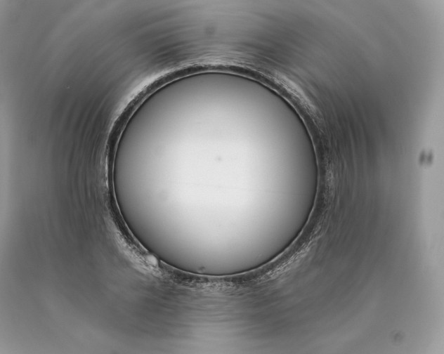 X0000089930934200707201837