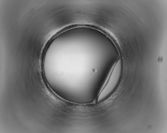 X0000089930935200707201837