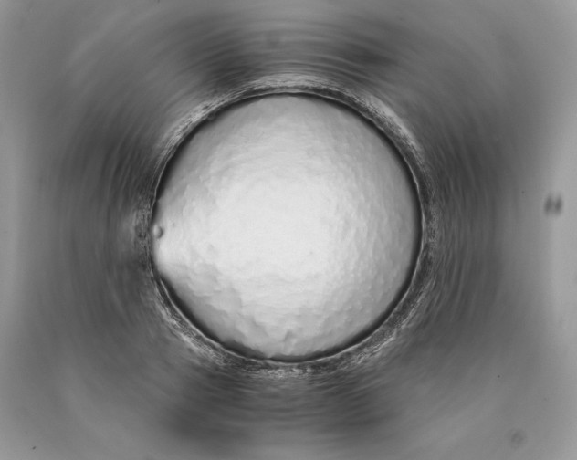 X0000089930937200707201837