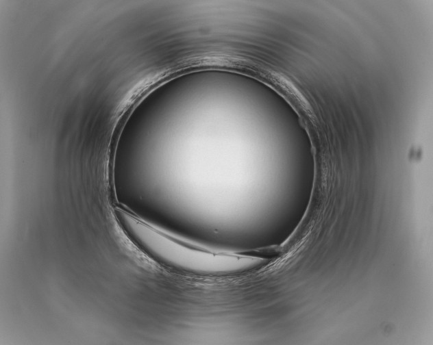 X0000089930938200707201837