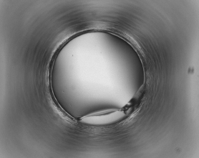 X0000089930939200707201837