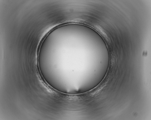 X0000089930940200707201837