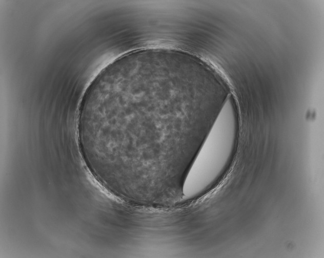 X0000089930941200707201837