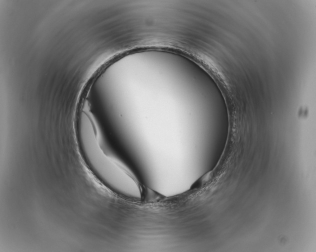 X0000089930942200707201837