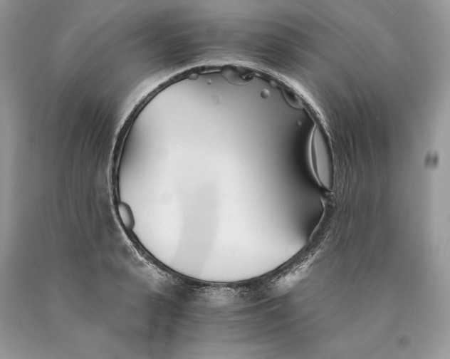 X0000089930943200707201837