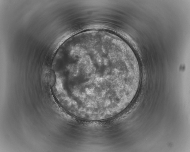 X0000089930945200707201837