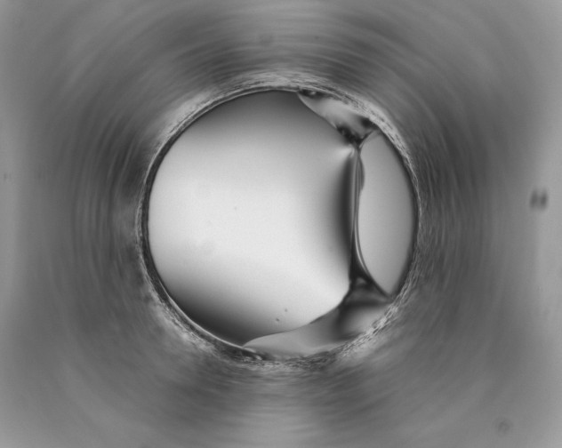 X0000089930946200707201837