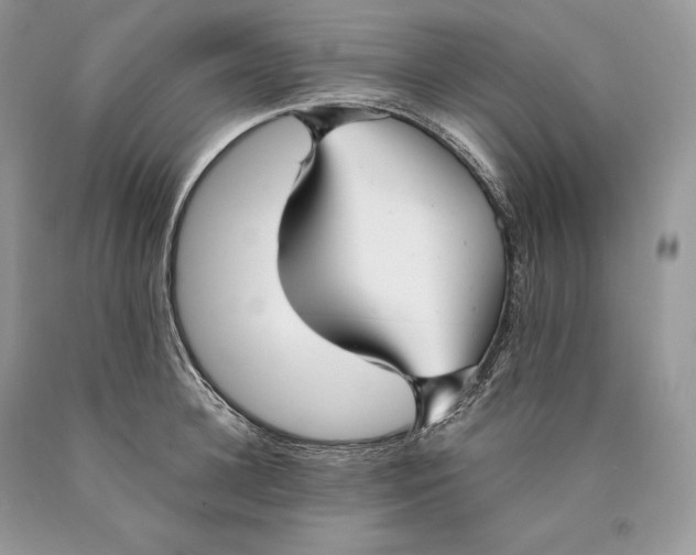 X0000089930948200707201837