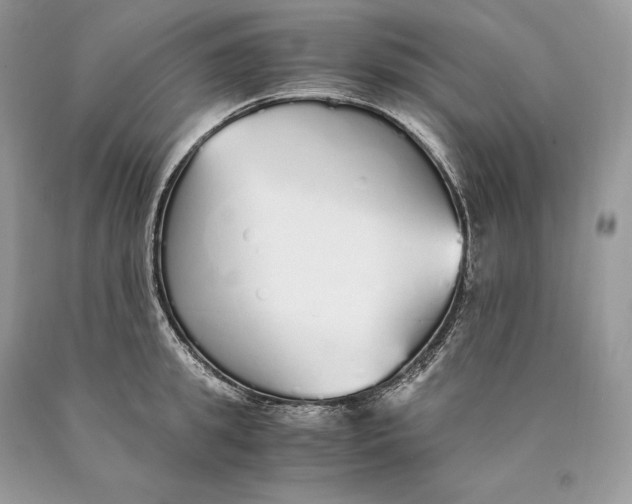 X0000089930949200707201837