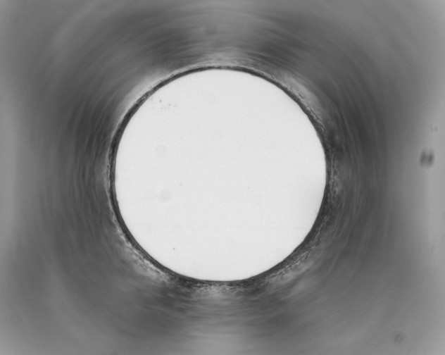 X0000089930950200707201837